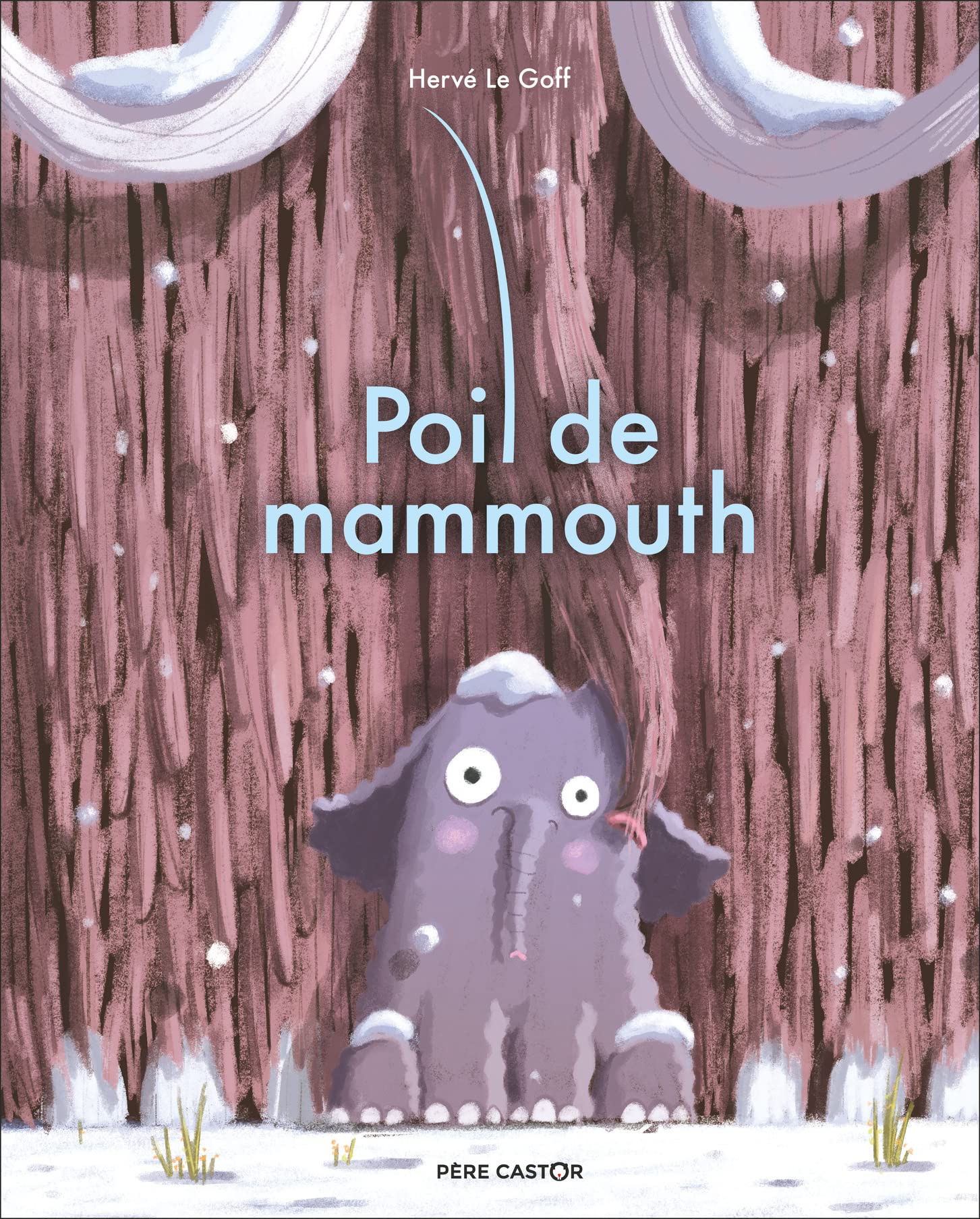 Poil de mammouth (Paperback)