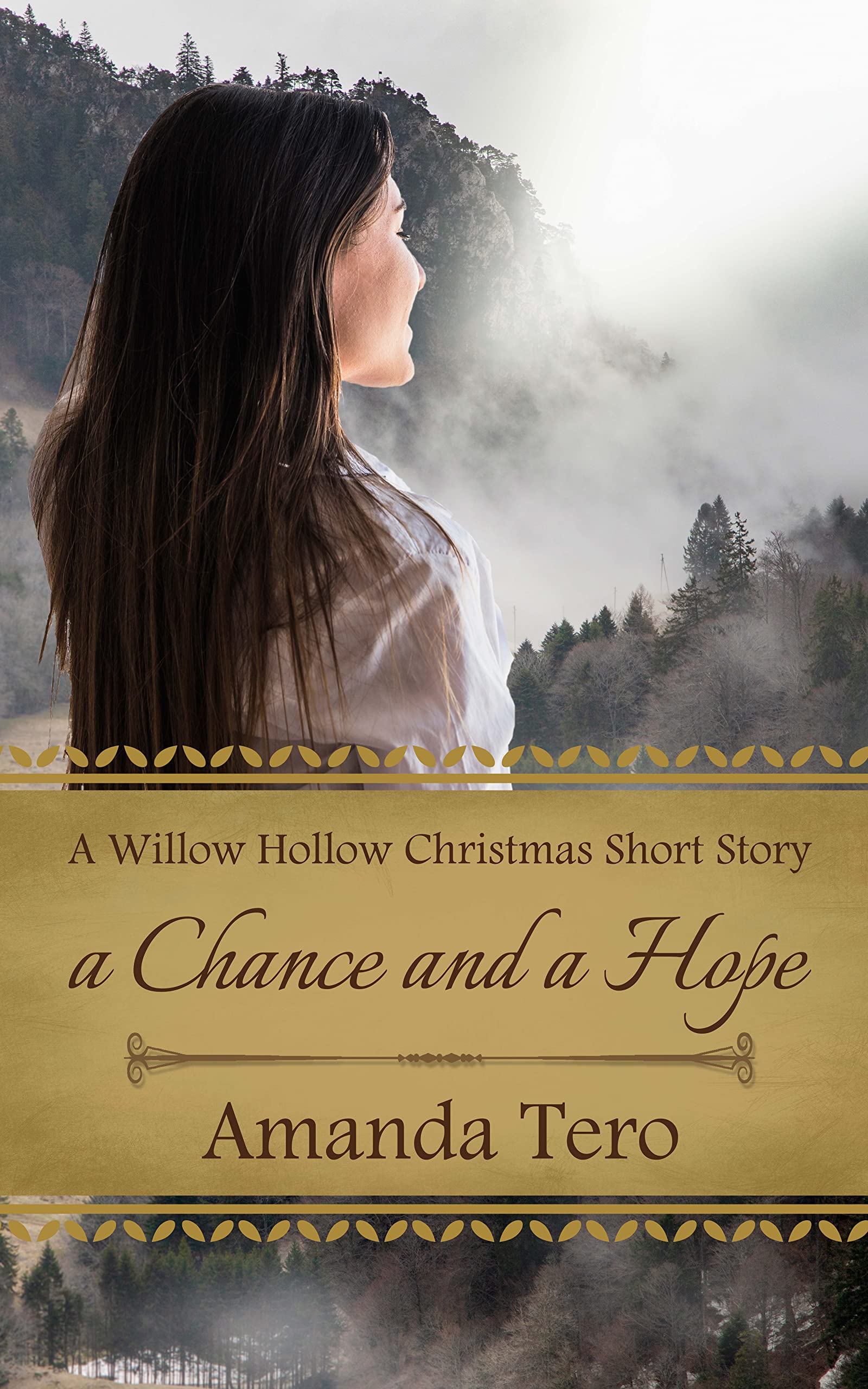 A Chance and a Hope (Librarians of Willow Hollow)