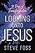 Looking Unto Jesus by Steve Foss