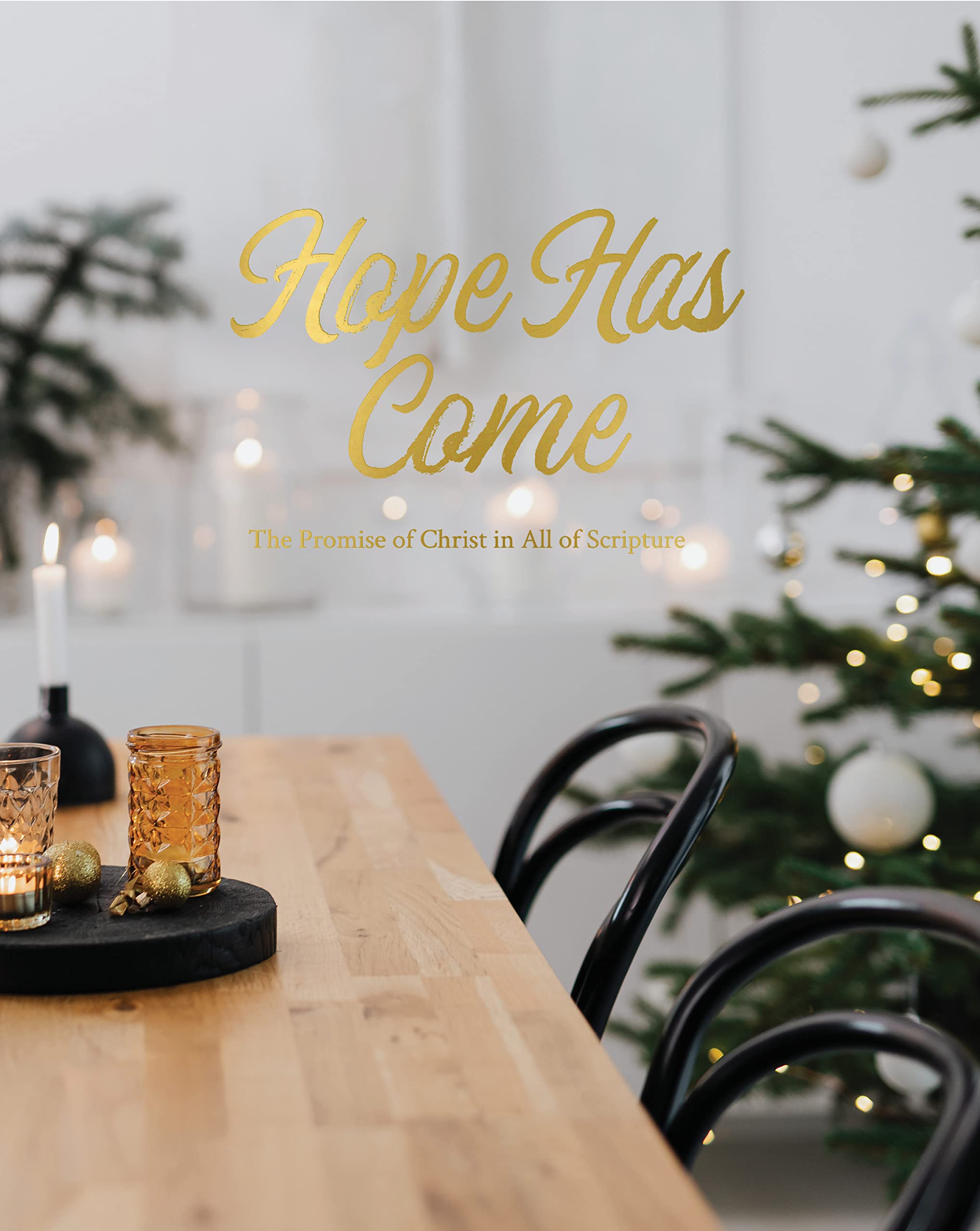 Hope Has Come: The Promise of Christ in All of Scripture (Paperback)