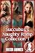 Succubus's Naughty Romp Collection 1