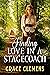 Finding Love in a Stagecoach by Grace Clemens