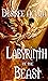Labyrinth of the Beast