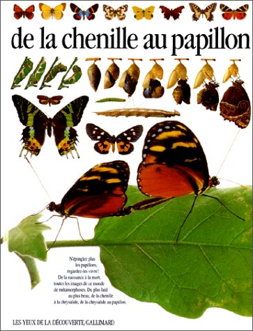 DE LA CHENILLE AU PAPILLON (Paperback)