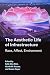 The Aesthetic Life of Infrastructure by Kelly Mee Rich