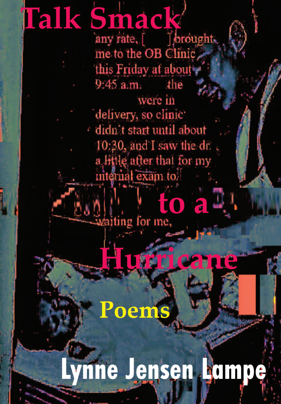 Talk Smack to a Hurricane (Paperback)