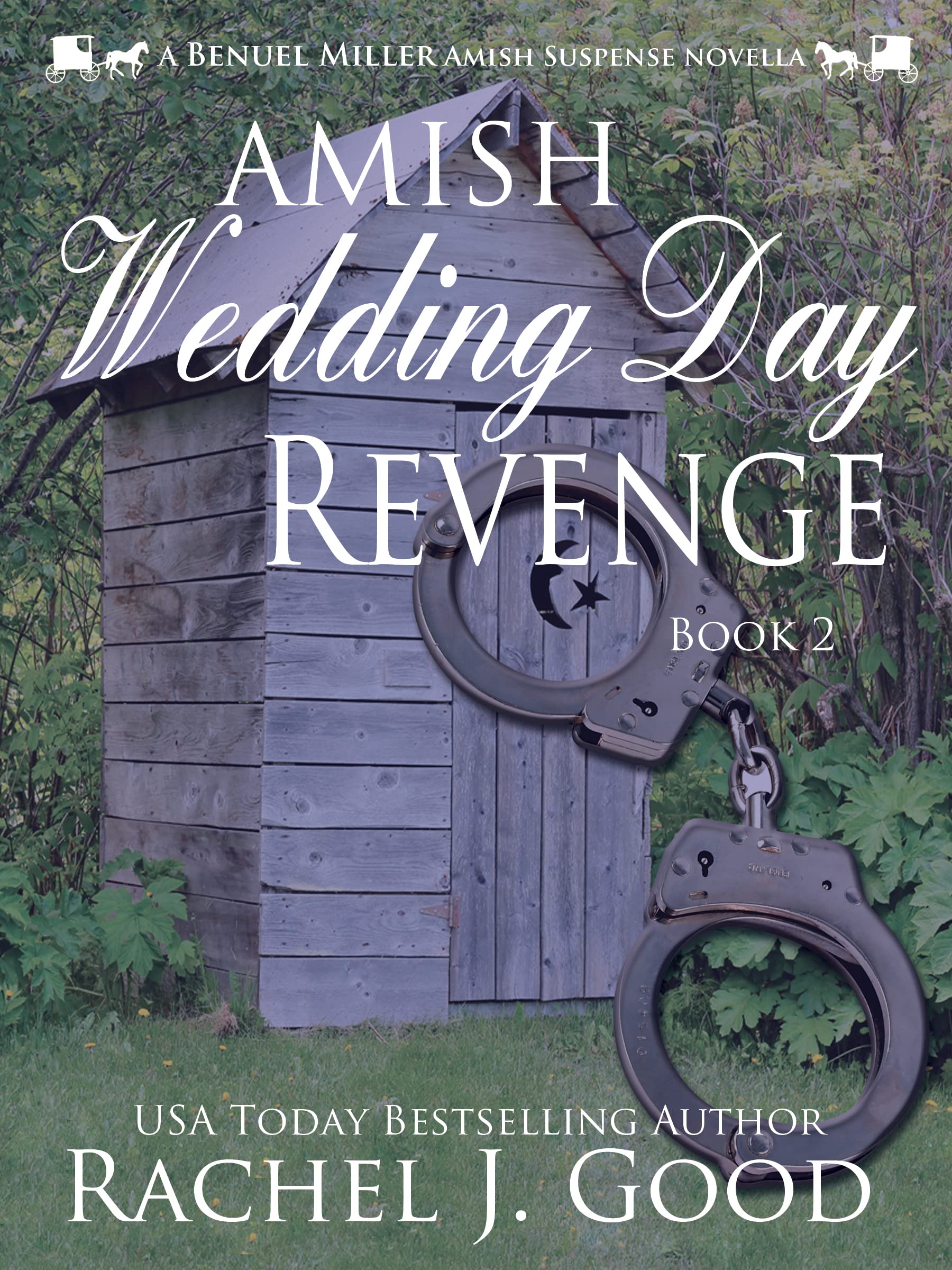 Amish Wedding Day Revenge  (Amish Detective Benuel Miller #2)