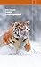 Tygrys. Na tropie rosyjskiej bestii by John Vaillant