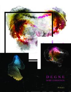 Degne (Hardcover)