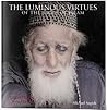 The Luminous Virtues of the Sages of Islam (Exemplars of Our Time, #1)