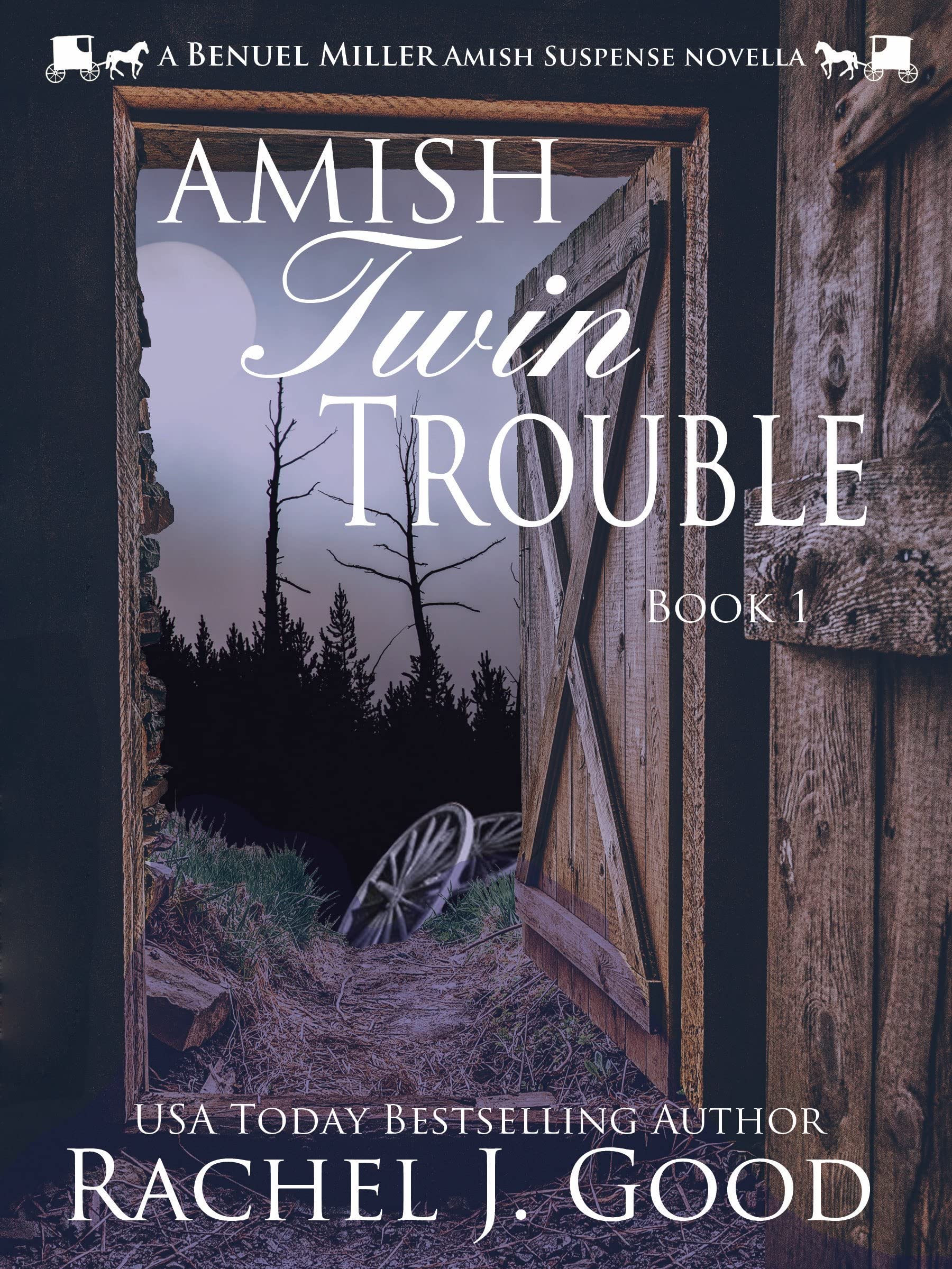 Amish Twin Trouble: A Benuel Miller Amish Suspense Novel (Amish Detective Benuel Miller Book 1)
