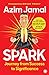 Spark: Journey from Success to Significance