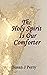 The Holy Spirit Is Our Comf...