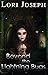 Beyond the Lightning Bugs (...