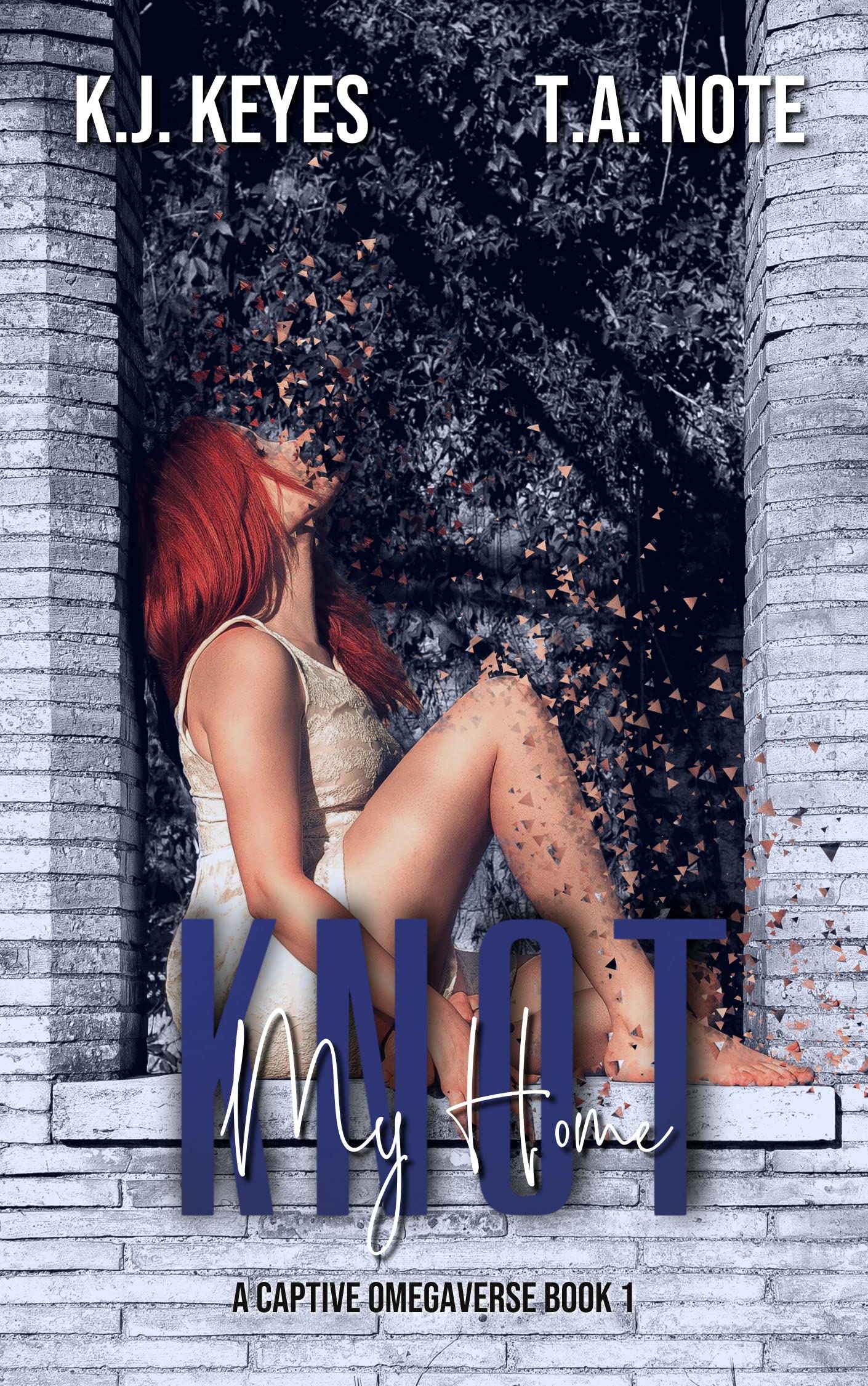 Knot My Home: Captive Omegaverse Book 1 (Captive Omegaverse Duet)