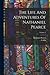 The Life And Adventures Of Nathaniel Pearce; Volume 1 by Nathaniel Pearce
