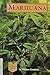 Marijuana (Drug Education Library)