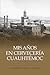 Mis años en Cervecería Cuauhtémoc by Alejandro Garza Lagüera
