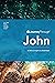 Journey Through John: 50 Biblical Insights by David Cook (Journey Through Series: Gospels & Acts)