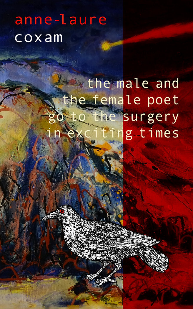 the male and the female poet go to the surgery in exciting times