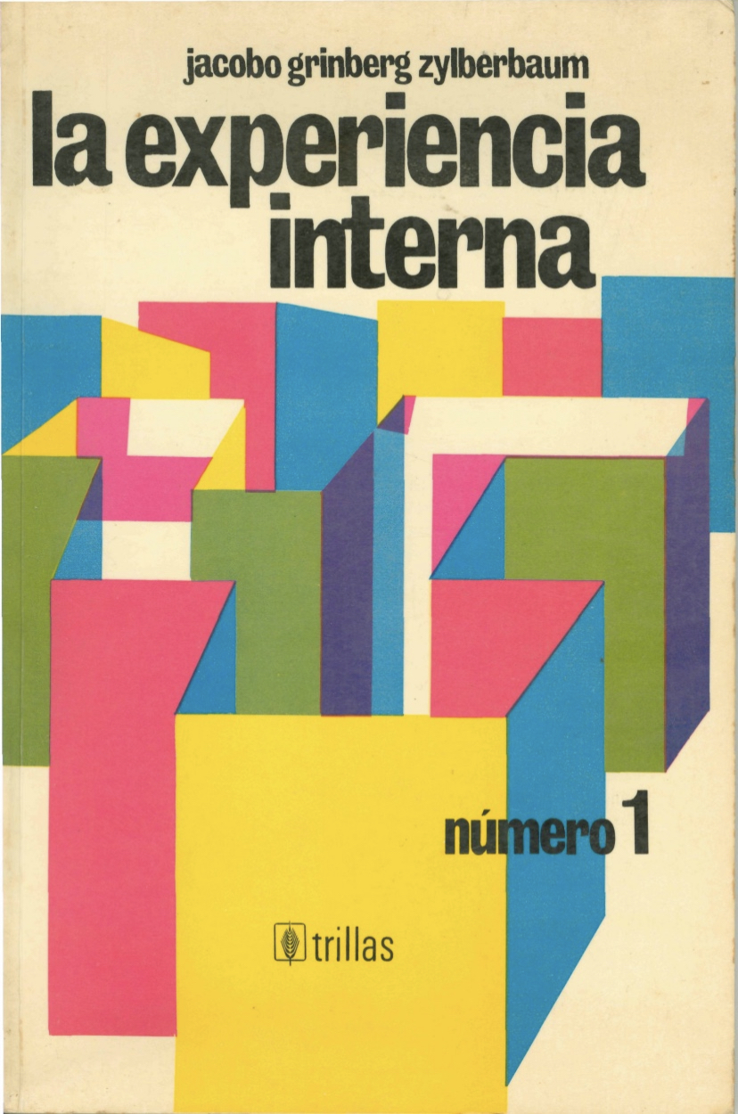 La experiencia interna (Paperback)