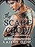The Scarecrow (Inner Circle Series #2)