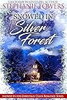 Snowed in at Silver Forest by Stephanie Fowers