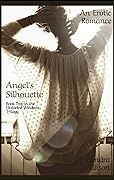Angel's Silhouette: Book Two in the Distorted Windows Trilogy