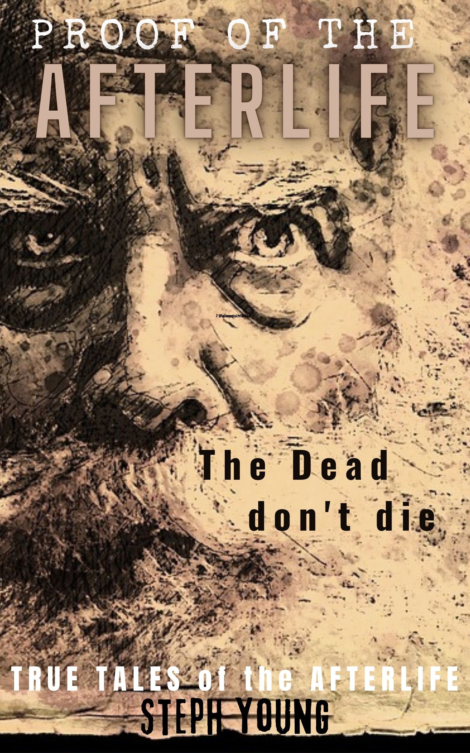 Proof of the Afterlife: The dead don't die.: True tales of the Afterlife. (Proof of Life-After-Death Book 1)