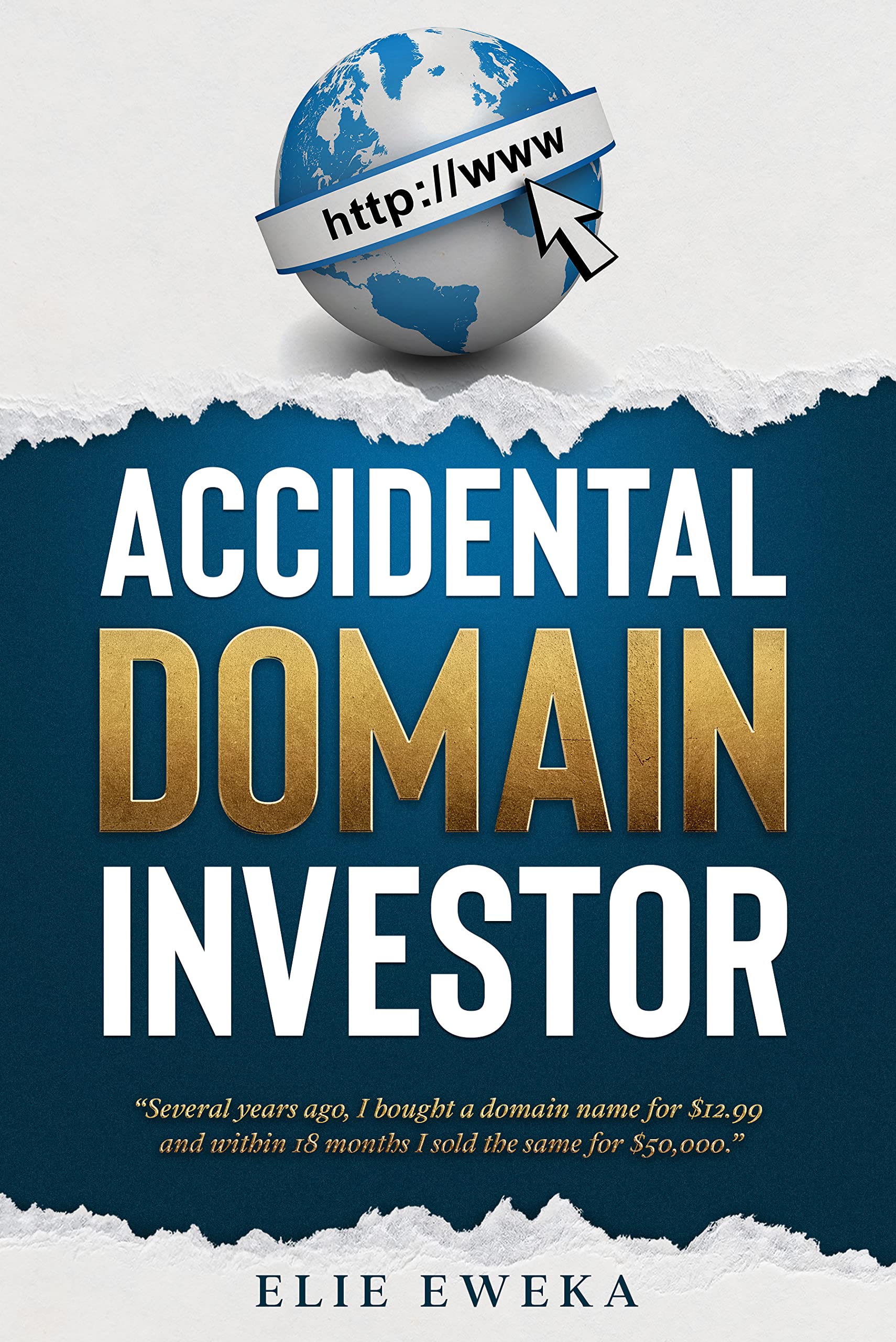Accidental Domain Investor (Kindle Edition)