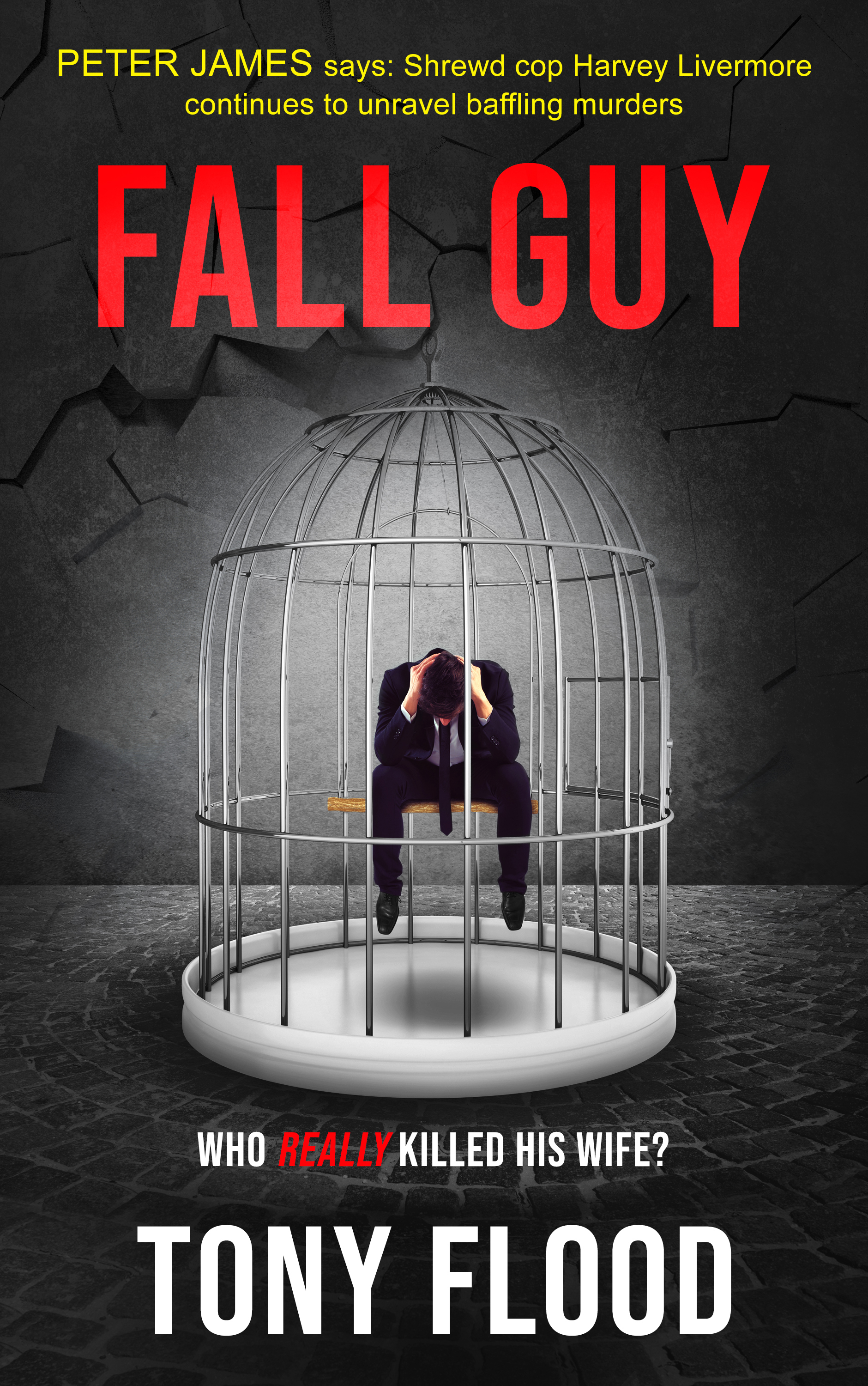 FALL GUY - who really killed his wife