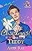 A Little Christmas: Teddy
