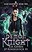 Demon Knight (Leah Ackerman, #2)