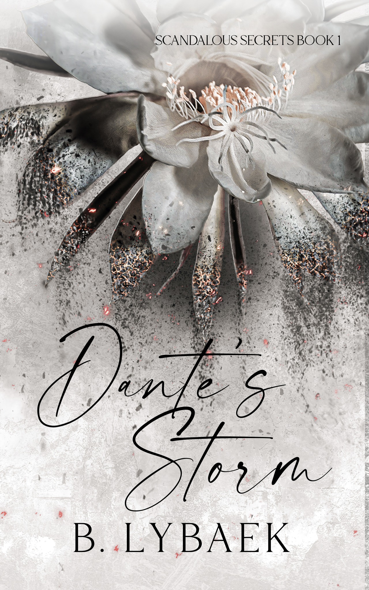 Dante's Storm (Scandalous Secrets, #1)