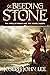The Bleeding Stone (The Spellbinders and the Gunslingers Book 1)