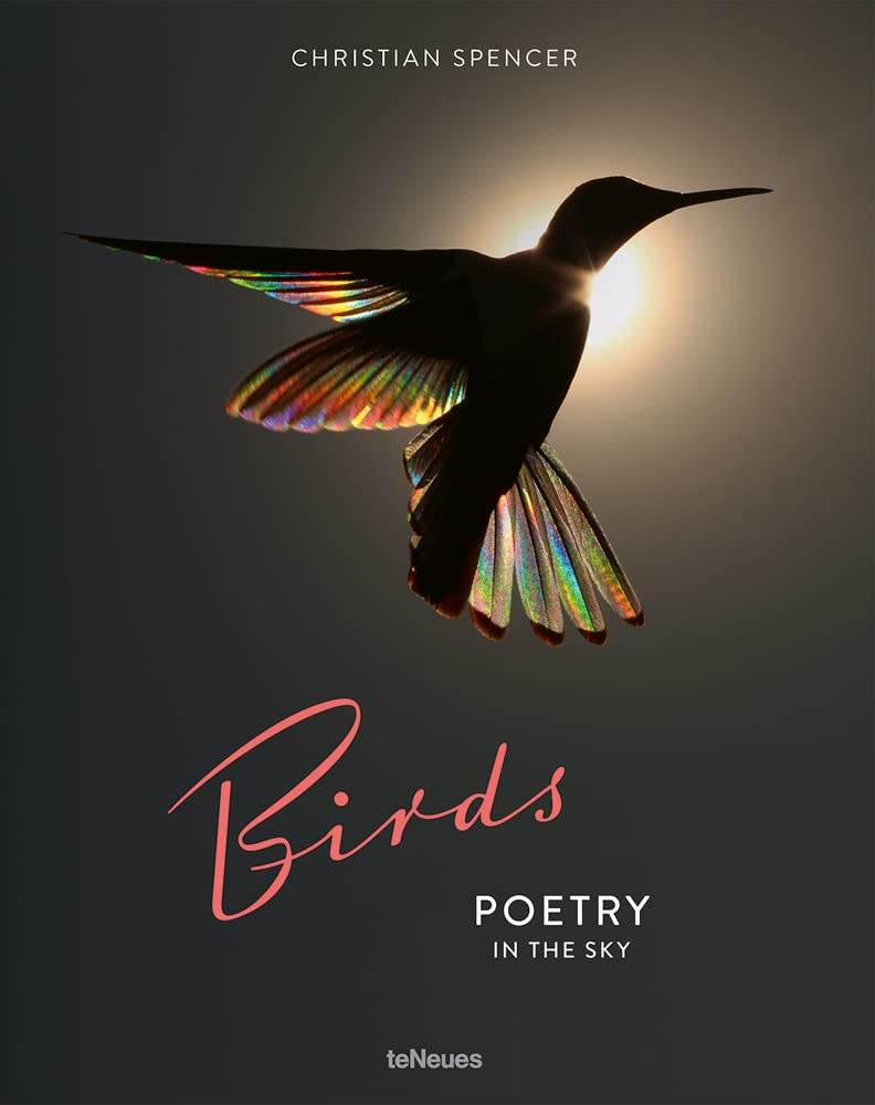 Birds: Poetry in the Sky (Hardcover)