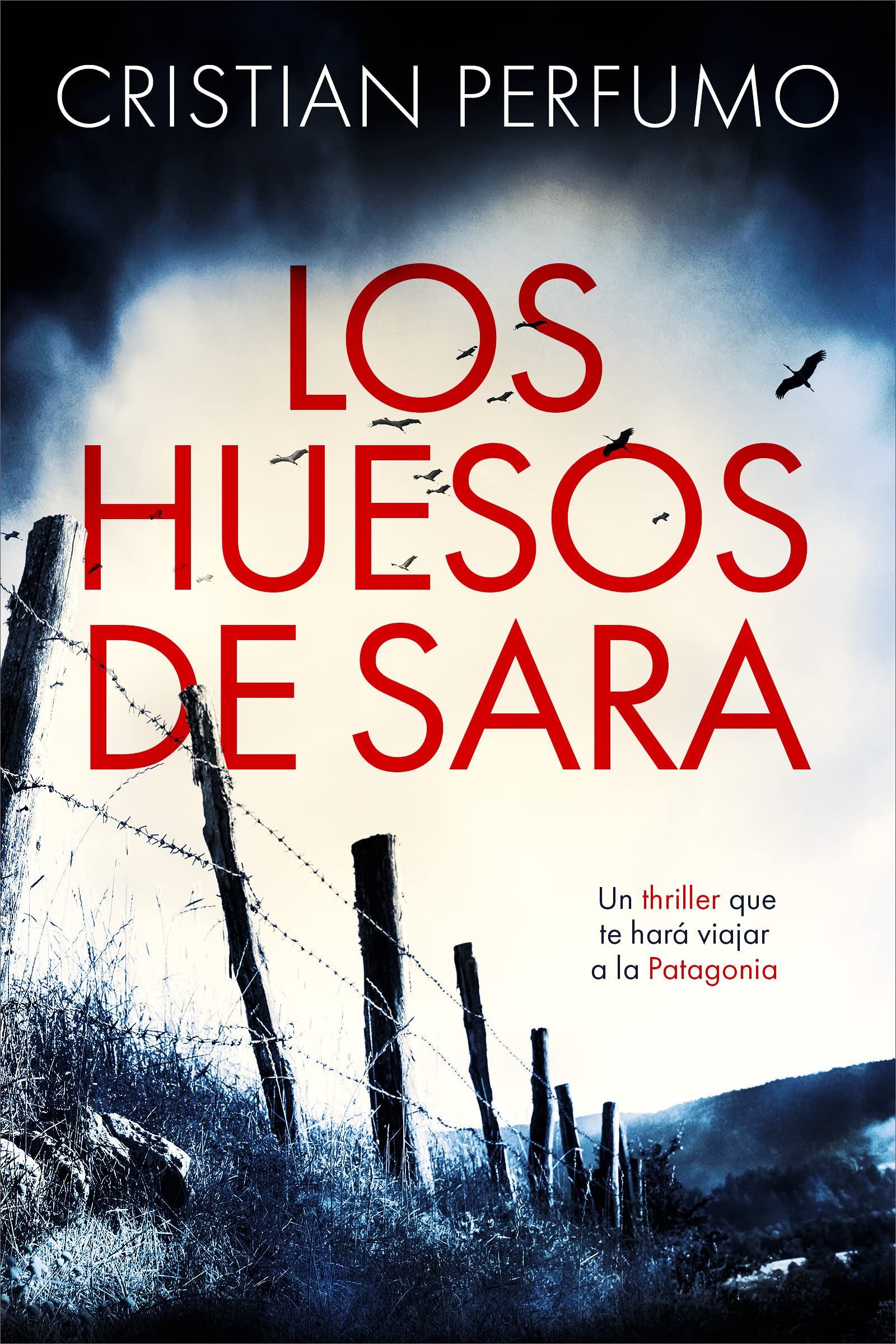 Los huesos de Sara (Kindle Edition)