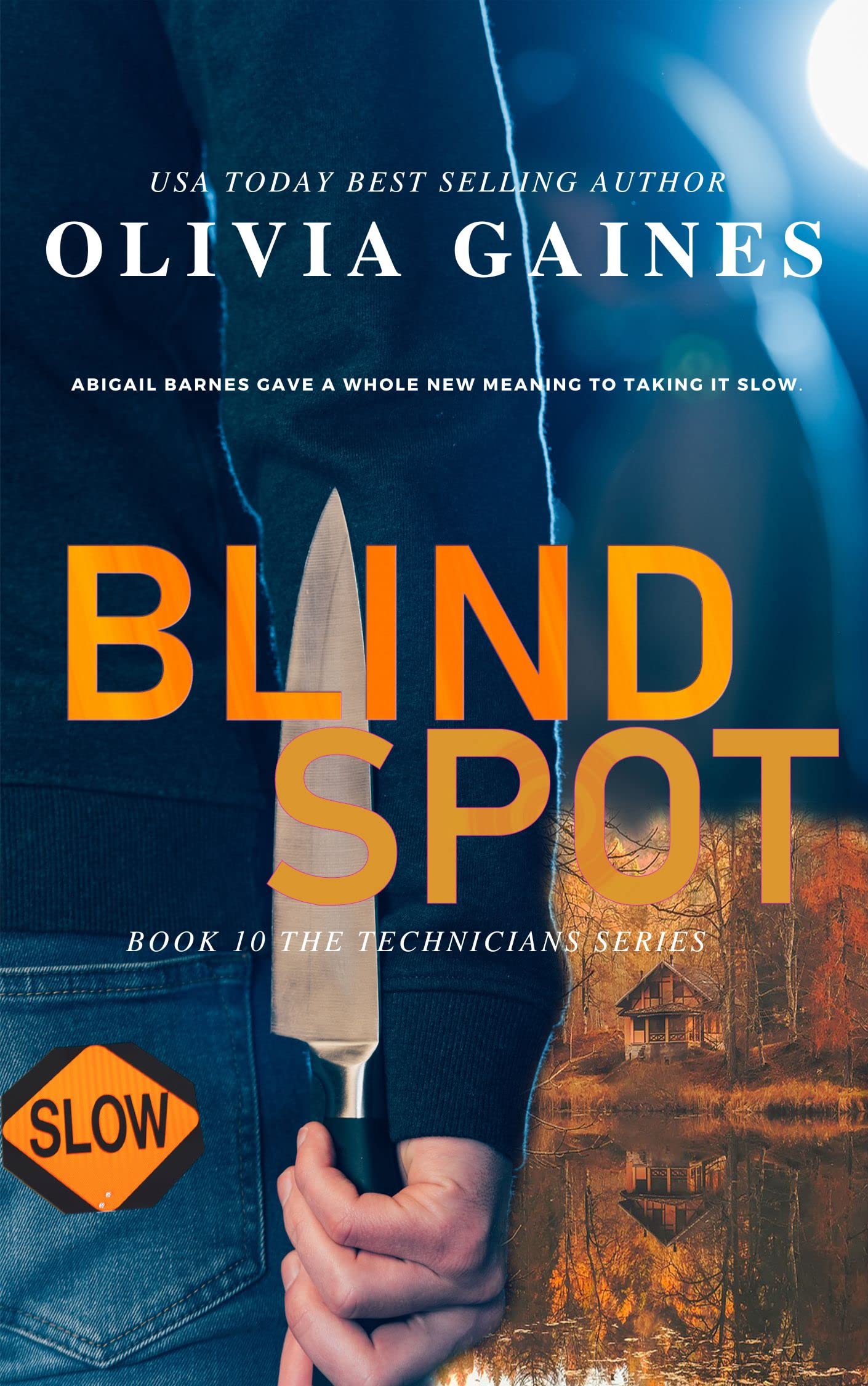 Blind Spot (The Technicians Series Book 10)