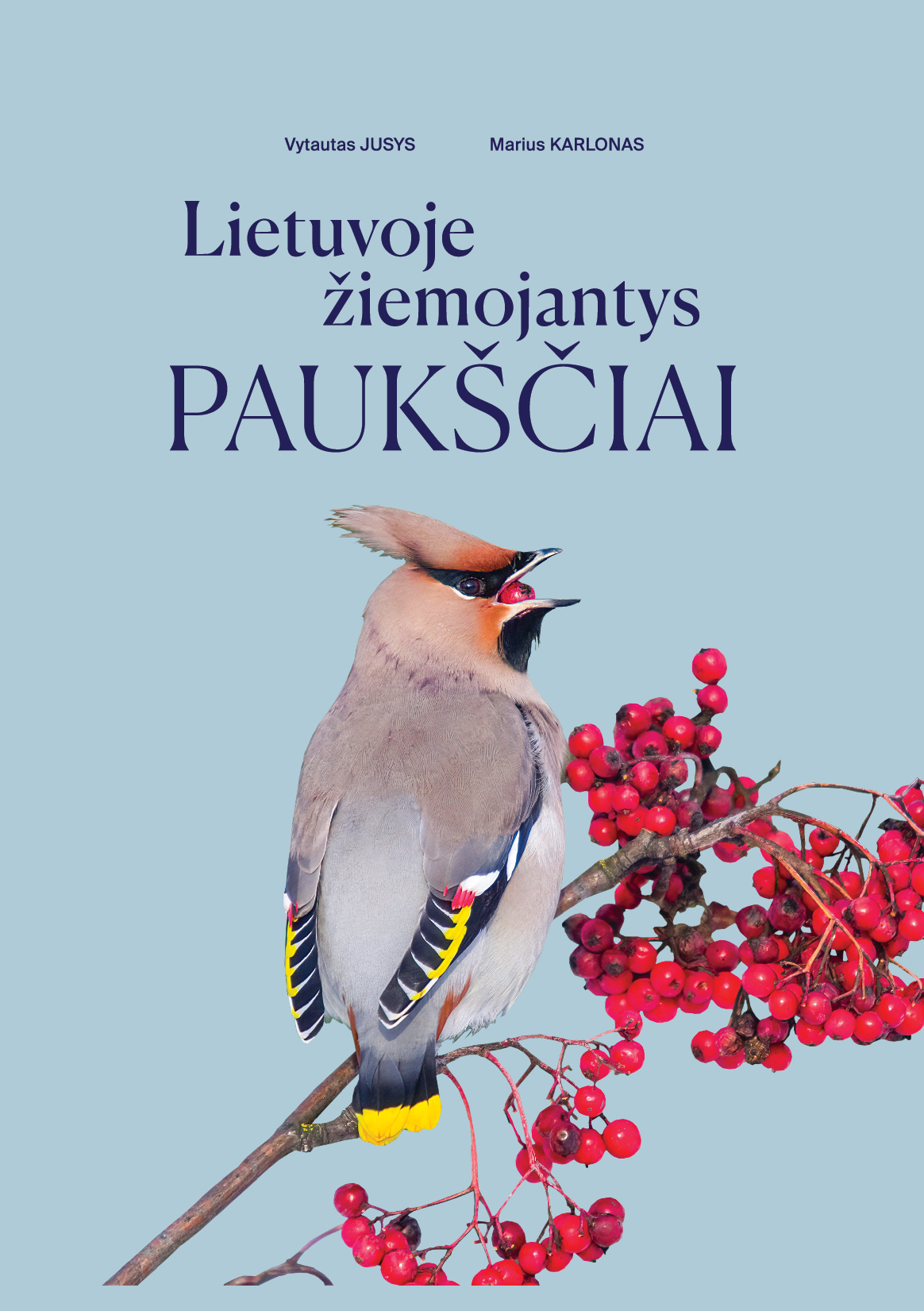 Lietuvoje žiemojantys paukščiai