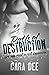 Path of Destruction (Camassia Cove Universe #3)