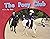 The Pony Club: Individual S...
