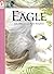Eagle (Animals at Risk)
