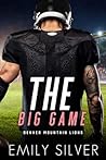 The Big Game by Emily Silver