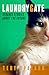 Laundrygate: Strange Storie...