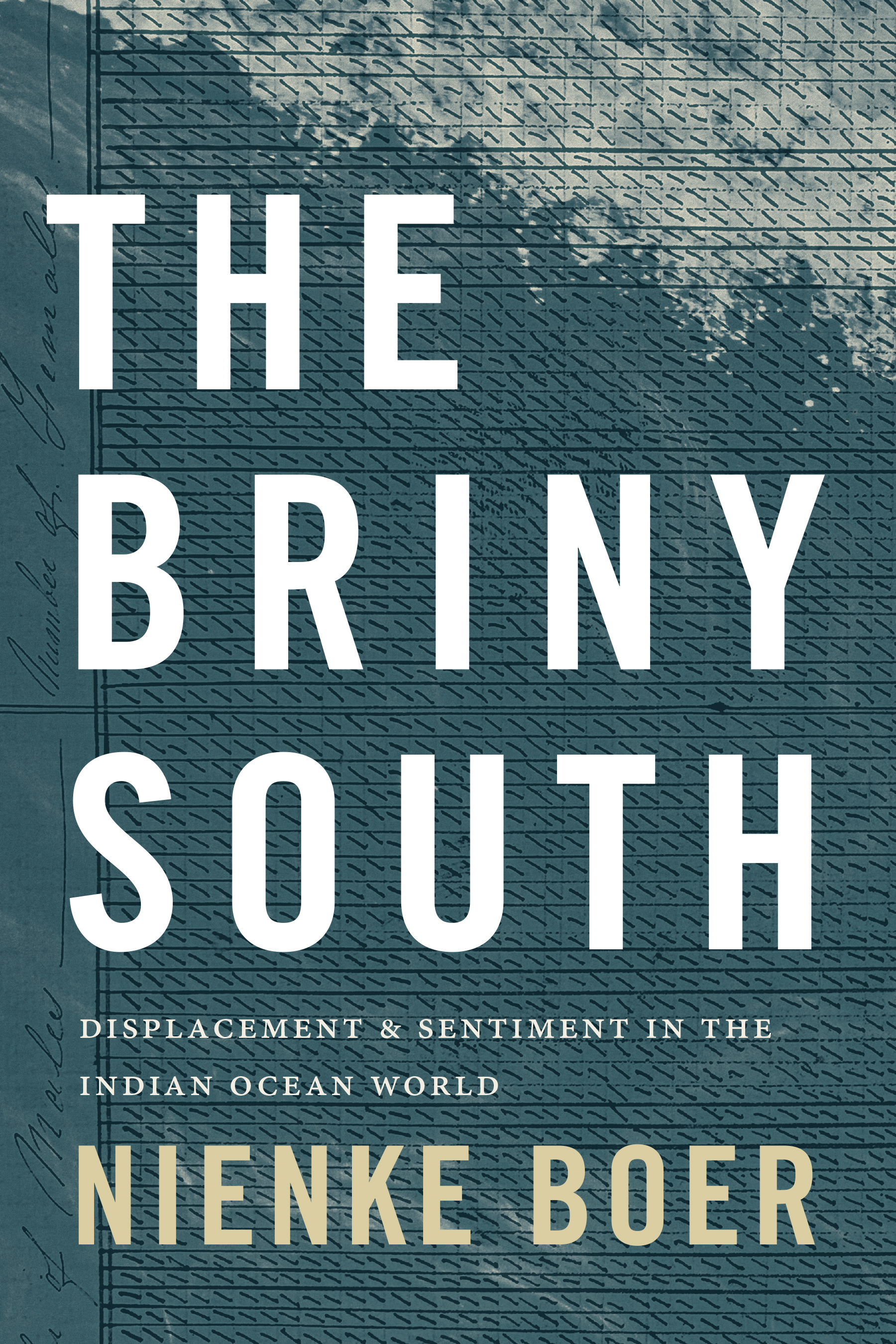 The Briny South: Displacement and Sentiment in the Indian Ocean World (Theory in Forms)