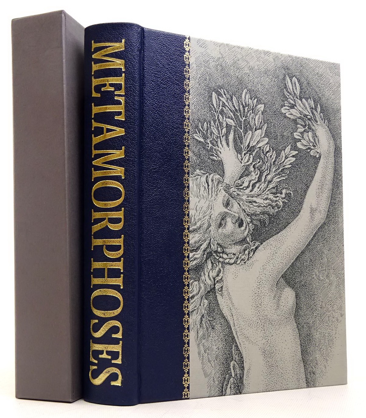 Metamorphoses