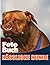 Hässliche Hunde Fotobuch by Rachel Phillips