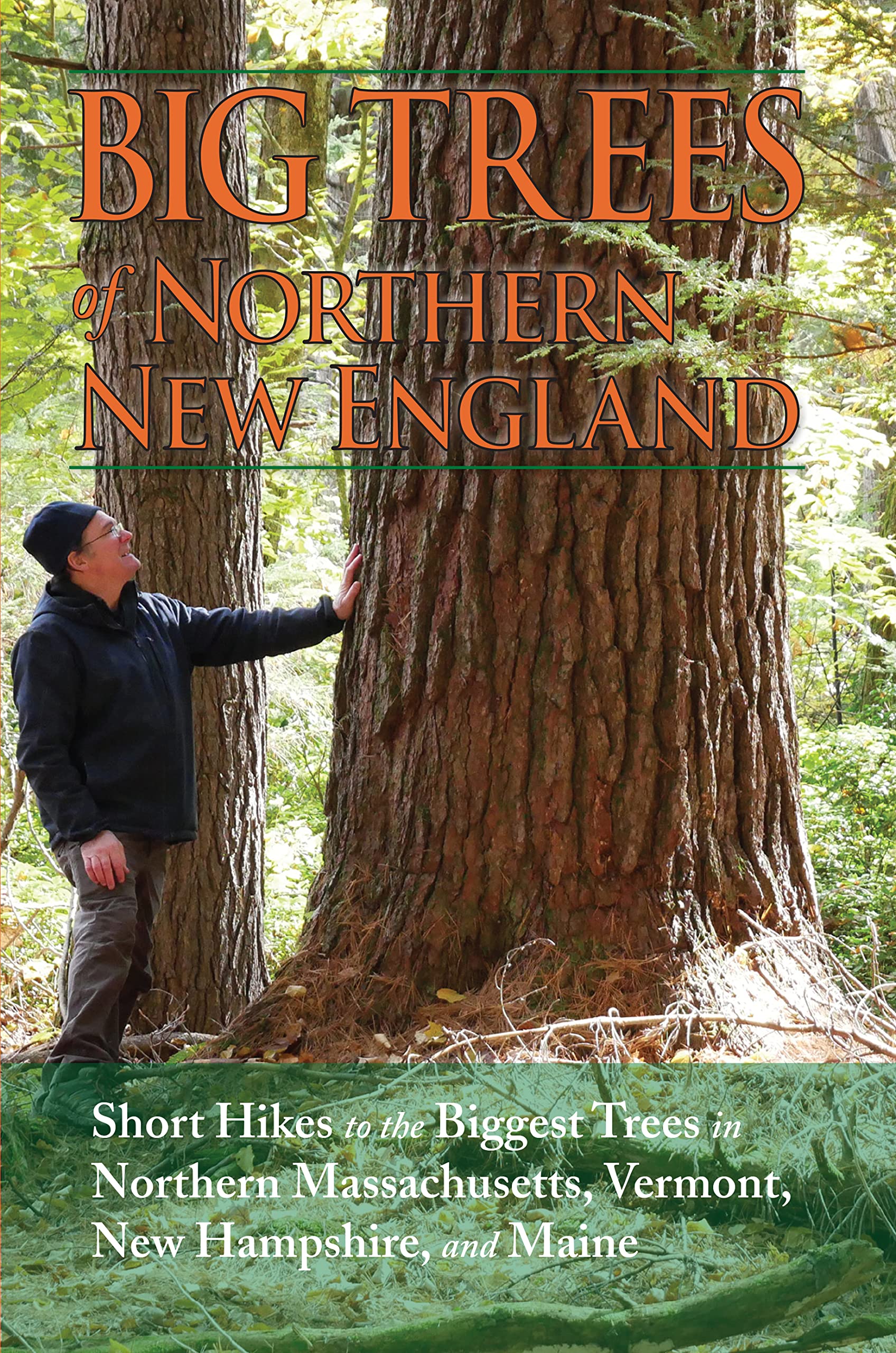 Big Trees of Northern New England (Paperback)