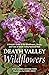 Death Valley Wildflowers by Steve W Chadde