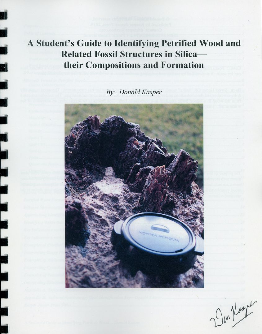 A Student’s Guide to Identifying Petrified Wood and Related Fossil Structures in Silica—their Compositions and Formation